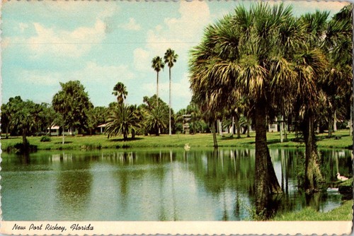 1977 new port richey - 1977, florida